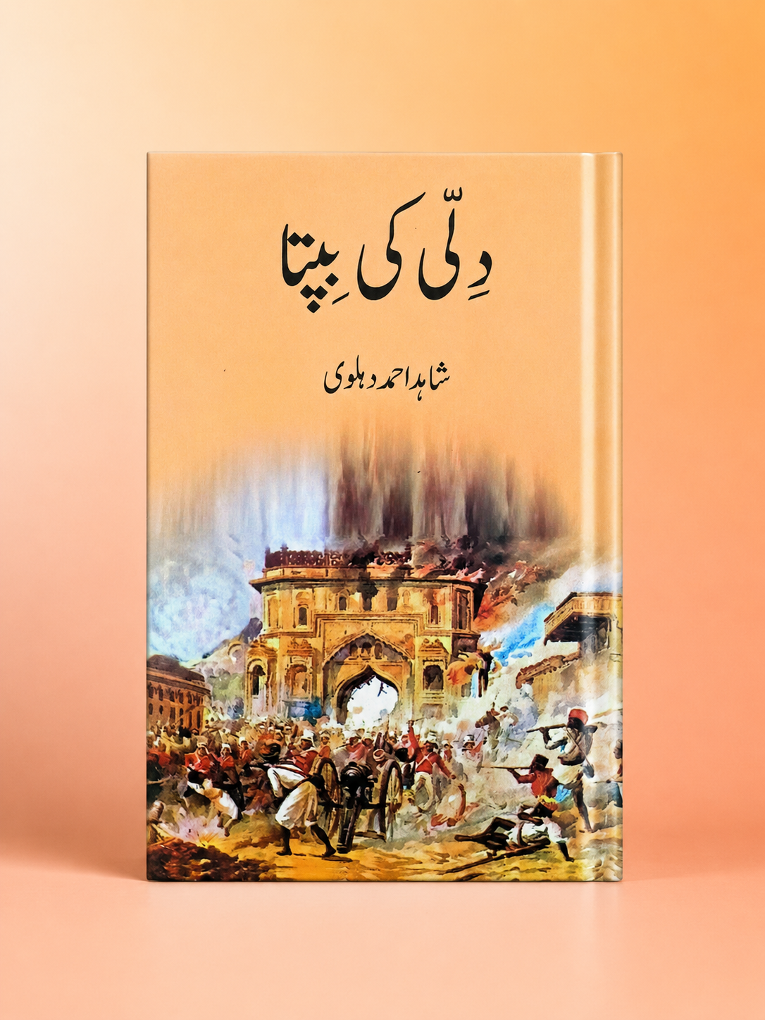 دلی کی بپتا